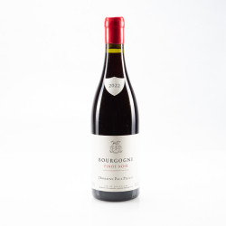 PILLOT PAUL BOURGOGNE PINOT NOIR 2022