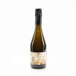 LEMAIRE LES TERRES JAUNES BLANC DE BLANCS BRUT NATURE 2021 - Dég. 03/24