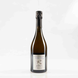 REMY LES QUATRE TERROIRS N. 20 BRUT NATURE PREMIER CRU - Dég. 04/23